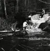 Fyra män badar i Linklappsfallet vid Trolldalen i Växbo den 26 maj 1957.