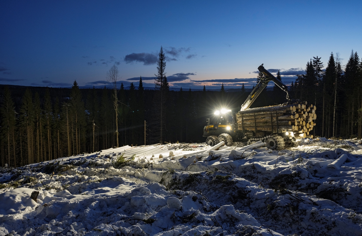 Skogsdrift. Lassbærer transporterer tømmer en tidlig morgen. Bildet er tatt litt vest for Fallsyringsbakken i Åstdalen, Åmot kommune, Innlandet.