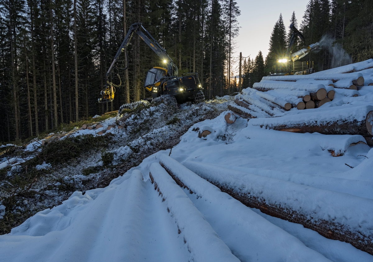 Skogsdrift. Hogstmaskin og lassbærer (t.h.). Bildet er tatt litt vest for Fallsyringsbakken i Åstdalen, Åmot kommune, Innlandet.