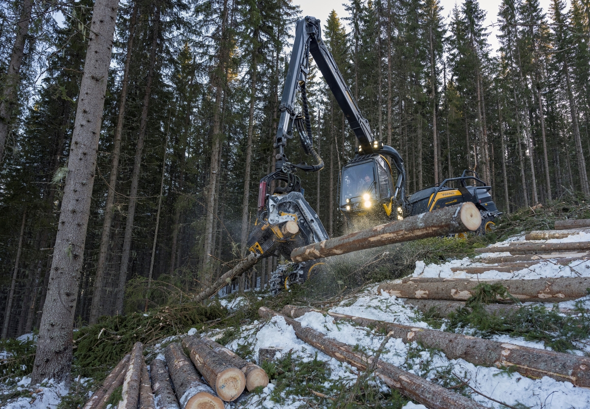 Skogsdrift. Bildet er tatt litt vest for Fallsyringsbakken i Åstdalen, Åmot kommune, Innlandet. Hogstmaskin i arbeid.