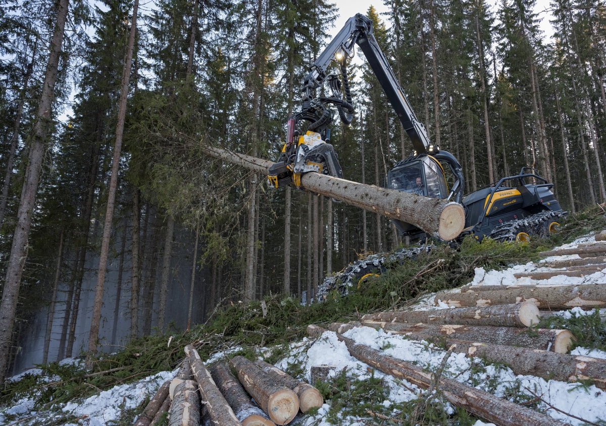 Skogsdrift. Bildet er tatt litt vest for Fallsyringsbakken i Åstdalen, Åmot kommune, Innlandet. Hogstmaskin i arbeid.