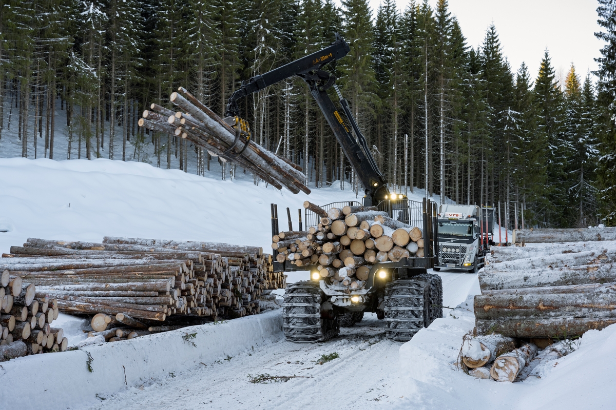 Skogsdrift. Bildet er tatt litt vest for Fallsyringsbakken i Åstdalen, Åmot kommune, Innlandet.