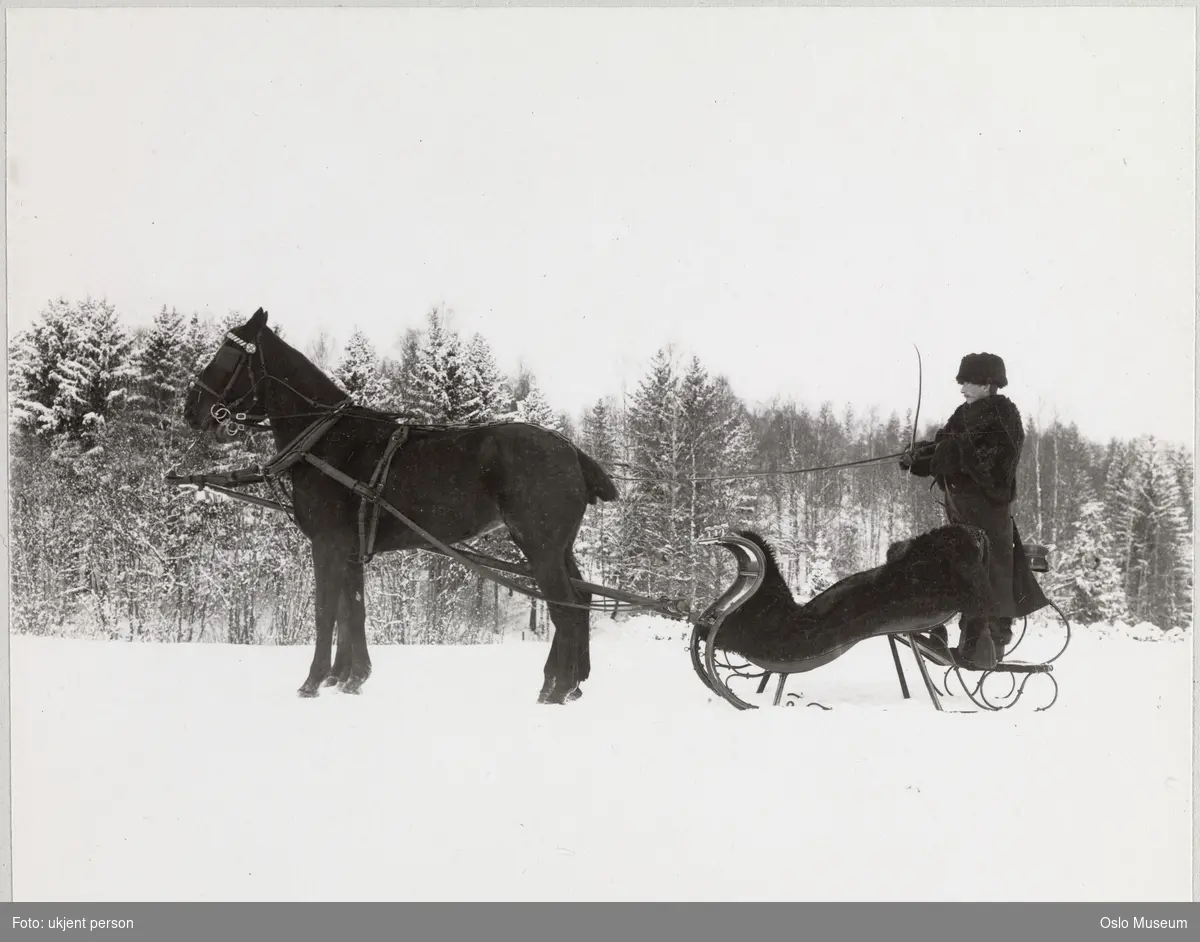 hest, slede, mann, kusk, landskap, snø