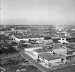 Skoglund & Olsons industrianäggning på Brynäs. 15 september 1960.