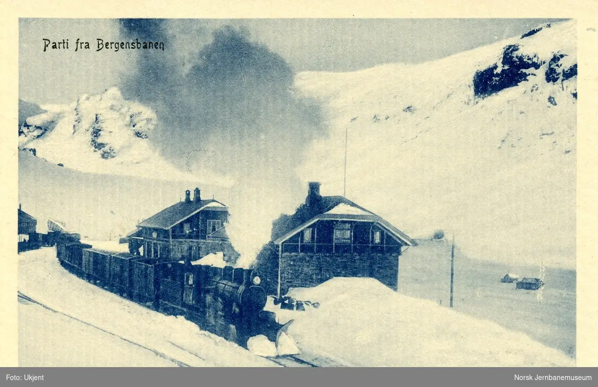 Damplokomotiv type 22a med godstog retning Oslo på Myrdal stasjon på Bergensbanen