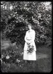 Fotograf Selma Sahlberg bland pioner och doftschersminer på Högås utanför Uddevalla år 1925.