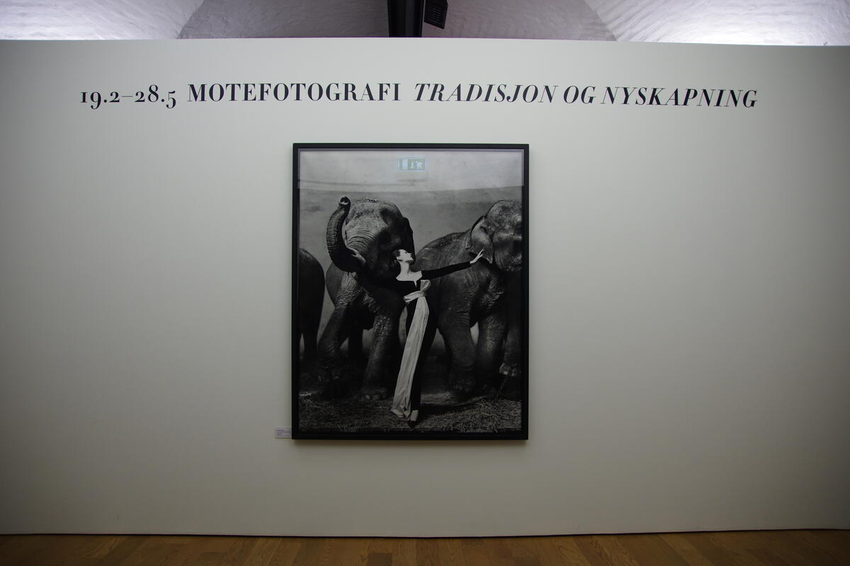 Utstillingsvegg med tekst og bilde. Bilde er av en modell som står foran to elefanter, hun legger hendene på hodene deres.