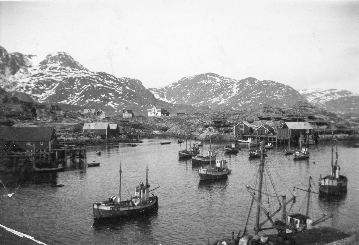 Fiskebåter i ei havn.