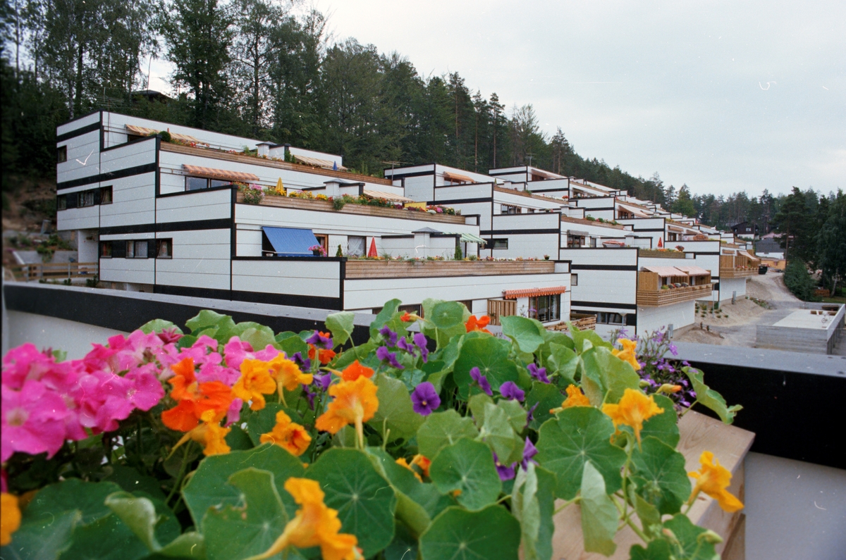 Utsikt over terrasseleiligheter med blomsterkasse i forgrunnen.