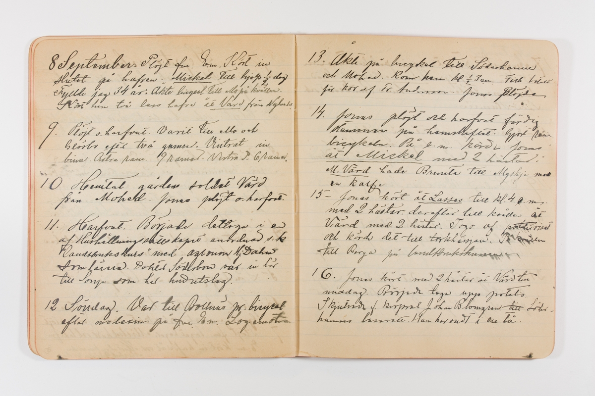 Dagbok från 1897–1898 omfattande 138 sidor. Inbunden med vaxdukspärm. Skriven av bonden, sjömannen och godtemplaren Per Svensson (1863–). Denne var gift med Kerstin Persdotter i Östergården (Österböle nr 2) i Rengsjö socken. Anteckningarna berör arbete, resor, väder osv. Dagboken ingår i en samling på 8 volymer och fanns vid digitaliseringstillfället i privat ägo inom släkten.