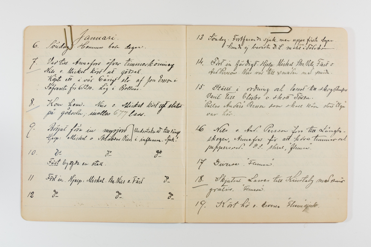 Dagbok från 1901 omfattande 71 skrivna sidor samt en skriven lapp. Inbunden med vaxdukspärm. Skriven av bonden, sjömannen och godtemplaren Per Svensson (1863-). Denne var gift med Kerstin Persdotter i Östergården (Österböle nr 2) i Rengsjö socken. Anteckningarna berör arbete, resor, väder osv.