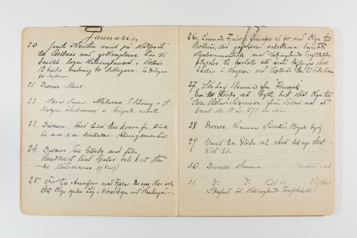 Dagbok från 1901 omfattande 71 skrivna sidor samt en skriven lapp. Inbunden med vaxdukspärm. Skriven av bonden, sjömannen och godtemplaren Per Svensson (1863–). Denne var gift med Kerstin Persdotter i Östergården (Österböle nr 2) i Rengsjö socken. Anteckningarna berör arbete, resor, väder osv. Dagboken ingår i en samling på 8 volymer och fanns vid digitaliseringstillfället i privat ägo inom släkten.