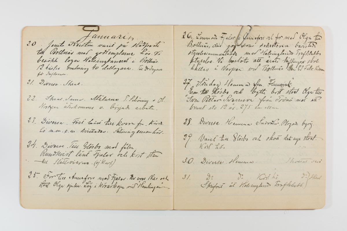 Dagbok från 1901 omfattande 71 skrivna sidor samt en skriven lapp. Inbunden med vaxdukspärm. Skriven av bonden, sjömannen och godtemplaren Per Svensson (1863-). Denne var gift med Kerstin Persdotter i Östergården (Österböle nr 2) i Rengsjö socken. Anteckningarna berör arbete, resor, väder osv.