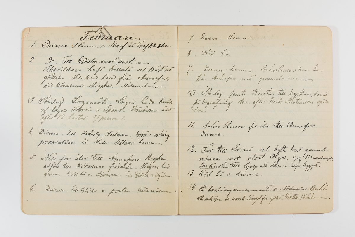 Dagbok från 1901 omfattande 71 skrivna sidor samt en skriven lapp. Inbunden med vaxdukspärm. Skriven av bonden, sjömannen och godtemplaren Per Svensson (1863-). Denne var gift med Kerstin Persdotter i Östergården (Österböle nr 2) i Rengsjö socken. Anteckningarna berör arbete, resor, väder osv.