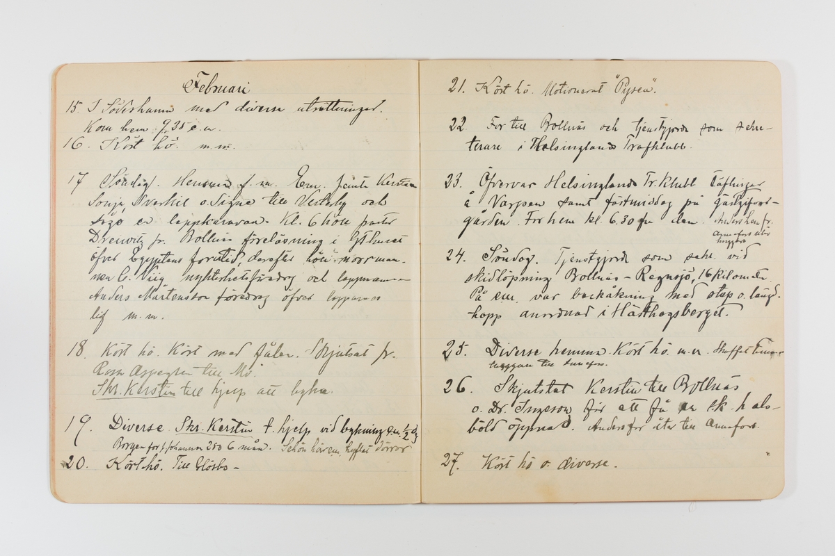Dagbok från 1901 omfattande 71 skrivna sidor samt en skriven lapp. Inbunden med vaxdukspärm. Skriven av bonden, sjömannen och godtemplaren Per Svensson (1863–). Denne var gift med Kerstin Persdotter i Östergården (Österböle nr 2) i Rengsjö socken. Anteckningarna berör arbete, resor, väder osv. Dagboken ingår i en samling på 8 volymer och fanns vid digitaliseringstillfället i privat ägo inom släkten.