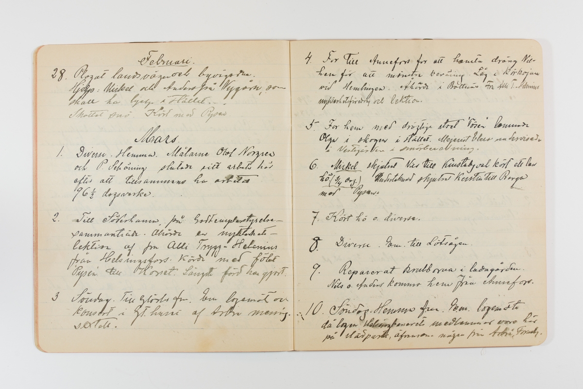 Dagbok från 1901 omfattande 71 skrivna sidor samt en skriven lapp. Inbunden med vaxdukspärm. Skriven av bonden, sjömannen och godtemplaren Per Svensson (1863-). Denne var gift med Kerstin Persdotter i Östergården (Österböle nr 2) i Rengsjö socken. Anteckningarna berör arbete, resor, väder osv.