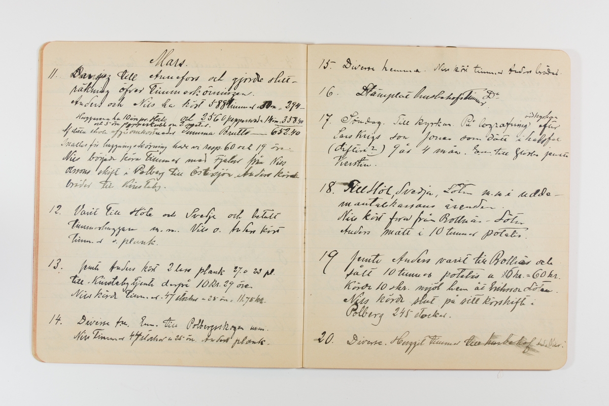 Dagbok från 1901 omfattande 71 skrivna sidor samt en skriven lapp. Inbunden med vaxdukspärm. Skriven av bonden, sjömannen och godtemplaren Per Svensson (1863-). Denne var gift med Kerstin Persdotter i Östergården (Österböle nr 2) i Rengsjö socken. Anteckningarna berör arbete, resor, väder osv.