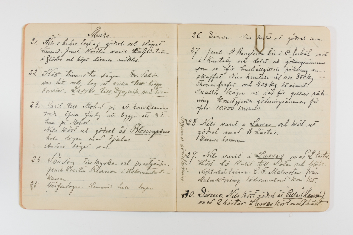 Dagbok från 1901 omfattande 71 skrivna sidor samt en skriven lapp. Inbunden med vaxdukspärm. Skriven av bonden, sjömannen och godtemplaren Per Svensson (1863–). Denne var gift med Kerstin Persdotter i Östergården (Österböle nr 2) i Rengsjö socken. Anteckningarna berör arbete, resor, väder osv. Dagboken ingår i en samling på 8 volymer och fanns vid digitaliseringstillfället i privat ägo inom släkten.