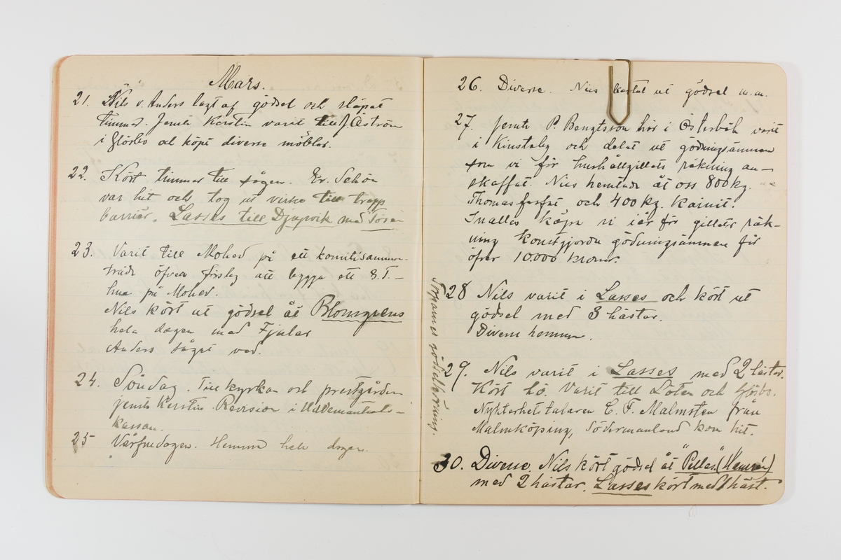 Dagbok från 1901 omfattande 71 skrivna sidor samt en skriven lapp. Inbunden med vaxdukspärm. Skriven av bonden, sjömannen och godtemplaren Per Svensson (1863-). Denne var gift med Kerstin Persdotter i Östergården (Österböle nr 2) i Rengsjö socken. Anteckningarna berör arbete, resor, väder osv.