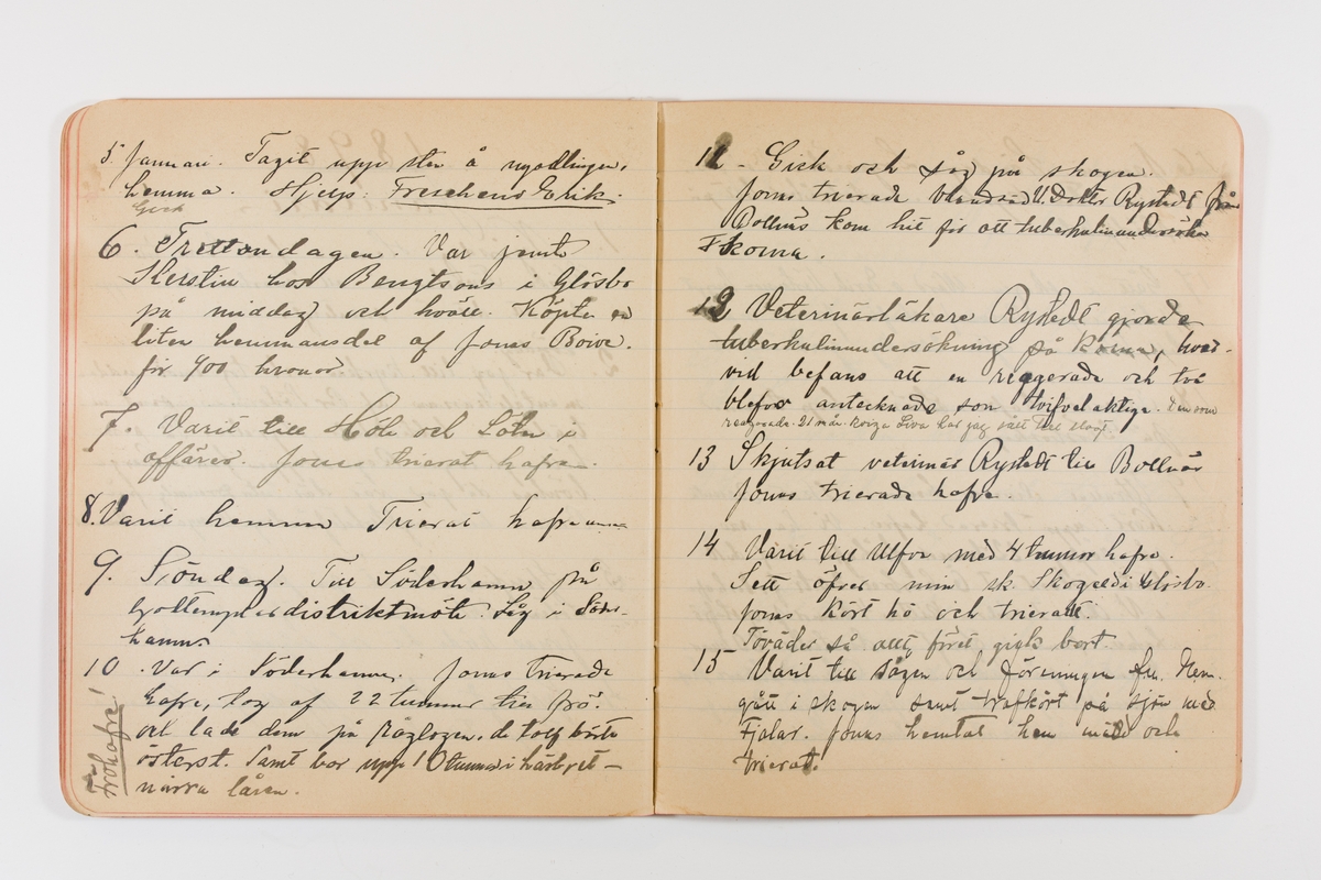 Dagbok från 1897–1898 omfattande 138 sidor. Inbunden med vaxdukspärm. Skriven av bonden, sjömannen och godtemplaren Per Svensson (1863–). Denne var gift med Kerstin Persdotter i Östergården (Österböle nr 2) i Rengsjö socken. Anteckningarna berör arbete, resor, väder osv. Dagboken ingår i en samling på 8 volymer och fanns vid digitaliseringstillfället i privat ägo inom släkten.