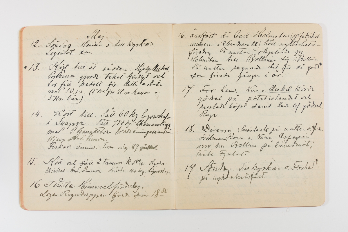 Dagbok från 1901 omfattande 71 skrivna sidor samt en skriven lapp. Inbunden med vaxdukspärm. Skriven av bonden, sjömannen och godtemplaren Per Svensson (1863-). Denne var gift med Kerstin Persdotter i Östergården (Österböle nr 2) i Rengsjö socken. Anteckningarna berör arbete, resor, väder osv.