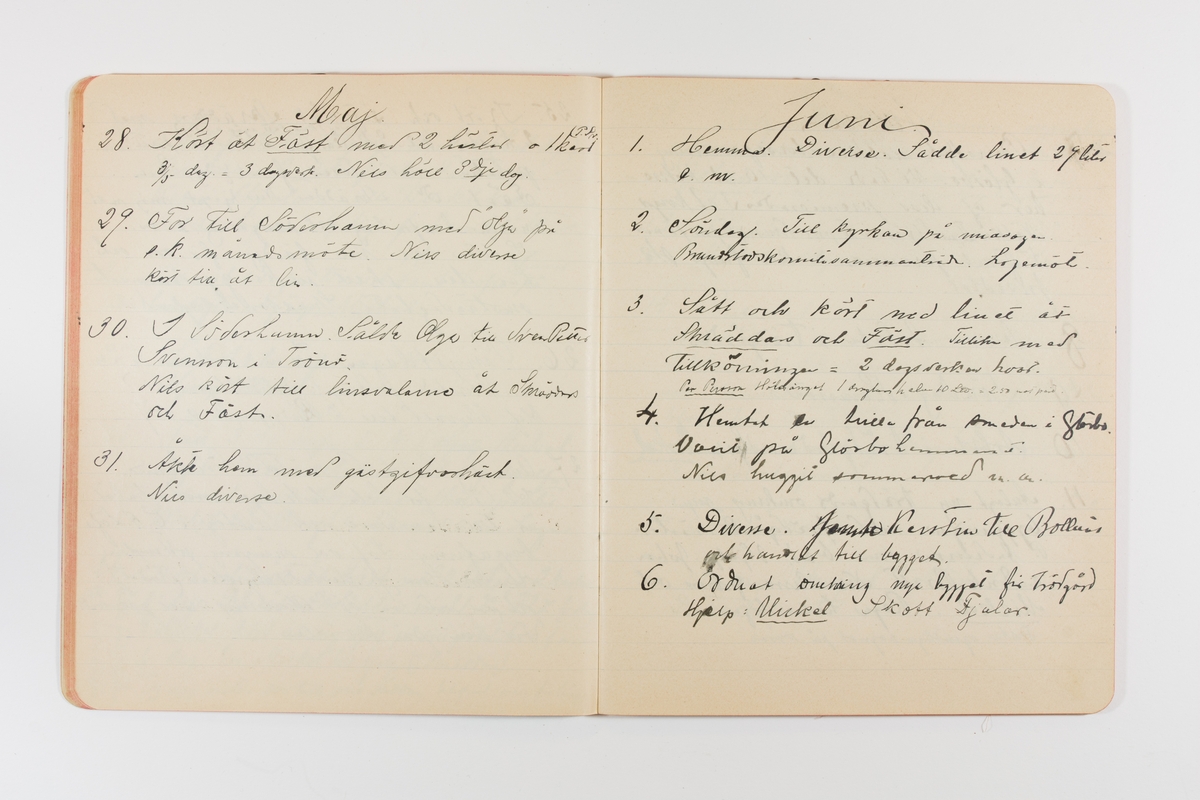 Dagbok från 1901 omfattande 71 skrivna sidor samt en skriven lapp. Inbunden med vaxdukspärm. Skriven av bonden, sjömannen och godtemplaren Per Svensson (1863–). Denne var gift med Kerstin Persdotter i Östergården (Österböle nr 2) i Rengsjö socken. Anteckningarna berör arbete, resor, väder osv. Dagboken ingår i en samling på 8 volymer och fanns vid digitaliseringstillfället i privat ägo inom släkten.