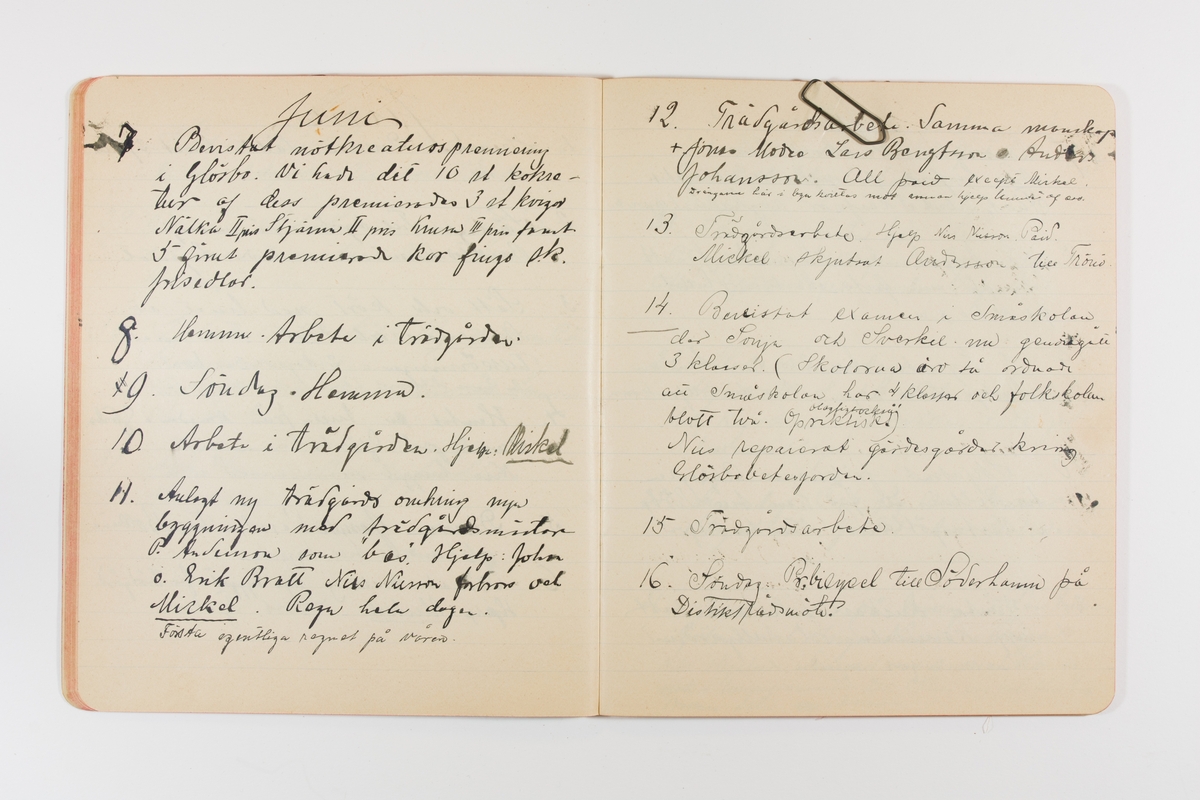 Dagbok från 1901 omfattande 71 skrivna sidor samt en skriven lapp. Inbunden med vaxdukspärm. Skriven av bonden, sjömannen och godtemplaren Per Svensson (1863-). Denne var gift med Kerstin Persdotter i Östergården (Österböle nr 2) i Rengsjö socken. Anteckningarna berör arbete, resor, väder osv.