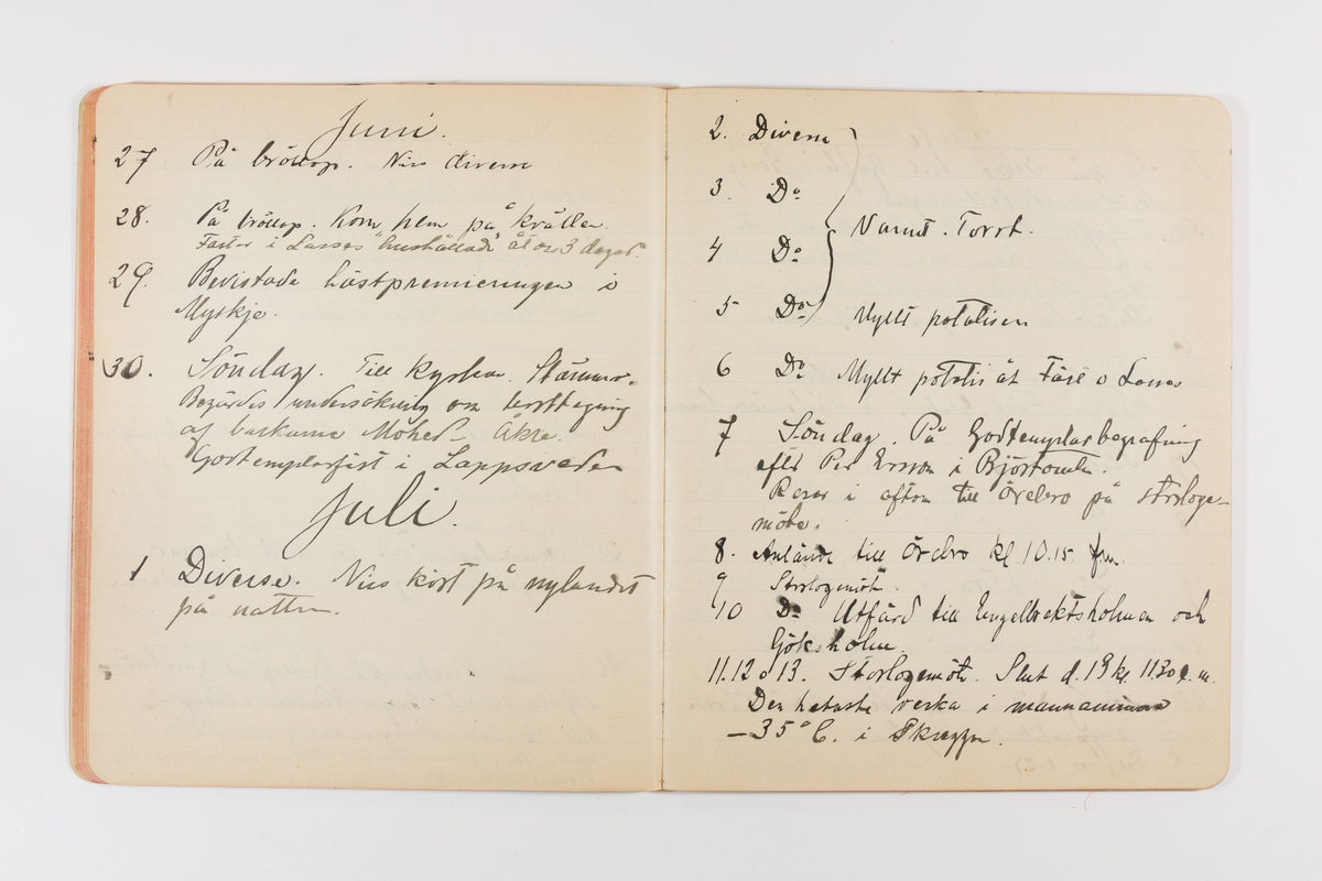 Dagbok från 1901 omfattande 71 skrivna sidor samt en skriven lapp. Inbunden med vaxdukspärm. Skriven av bonden, sjömannen och godtemplaren Per Svensson (1863-). Denne var gift med Kerstin Persdotter i Östergården (Österböle nr 2) i Rengsjö socken. Anteckningarna berör arbete, resor, väder osv.