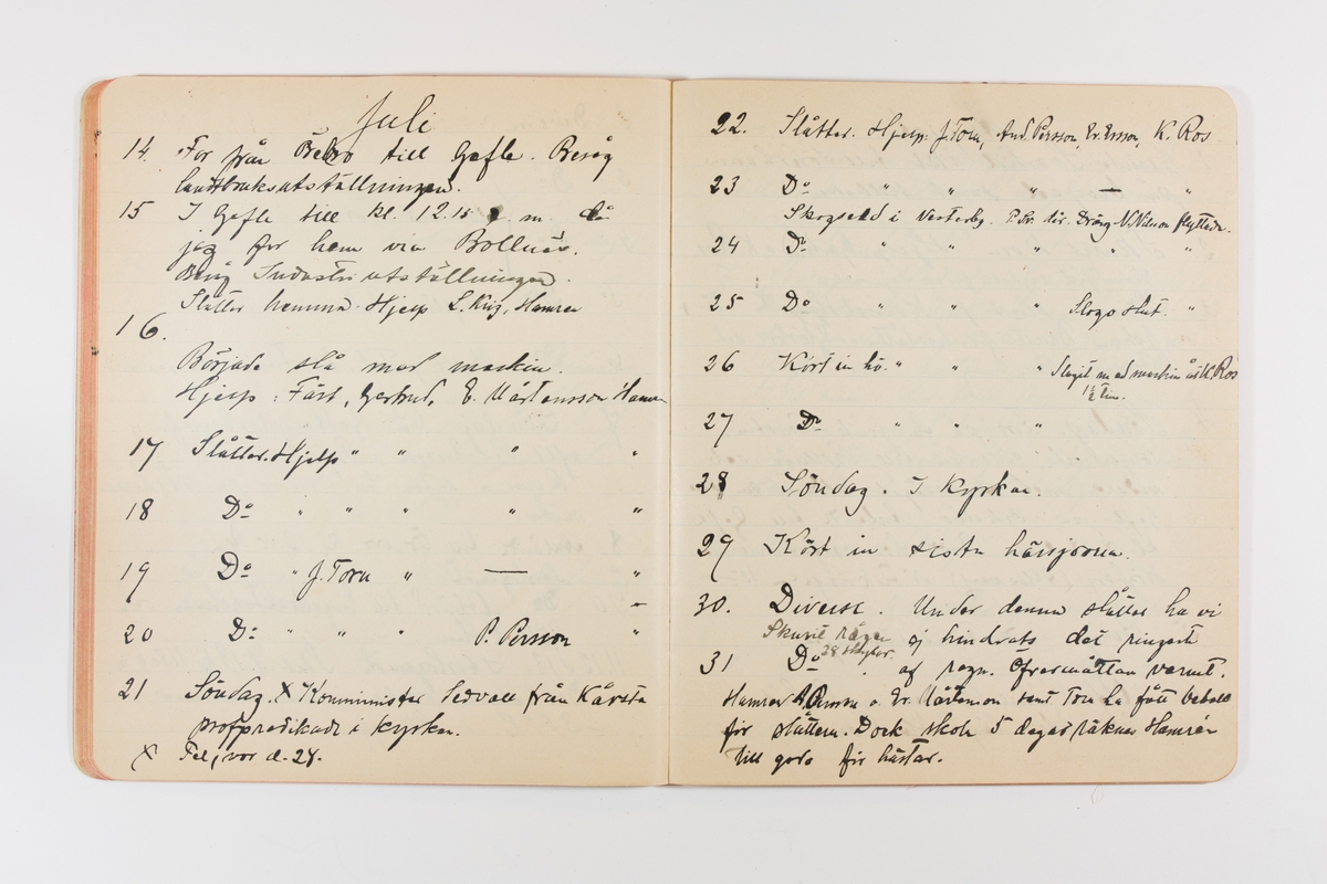 Dagbok från 1901 omfattande 71 skrivna sidor samt en skriven lapp. Inbunden med vaxdukspärm. Skriven av bonden, sjömannen och godtemplaren Per Svensson (1863-). Denne var gift med Kerstin Persdotter i Östergården (Österböle nr 2) i Rengsjö socken. Anteckningarna berör arbete, resor, väder osv.