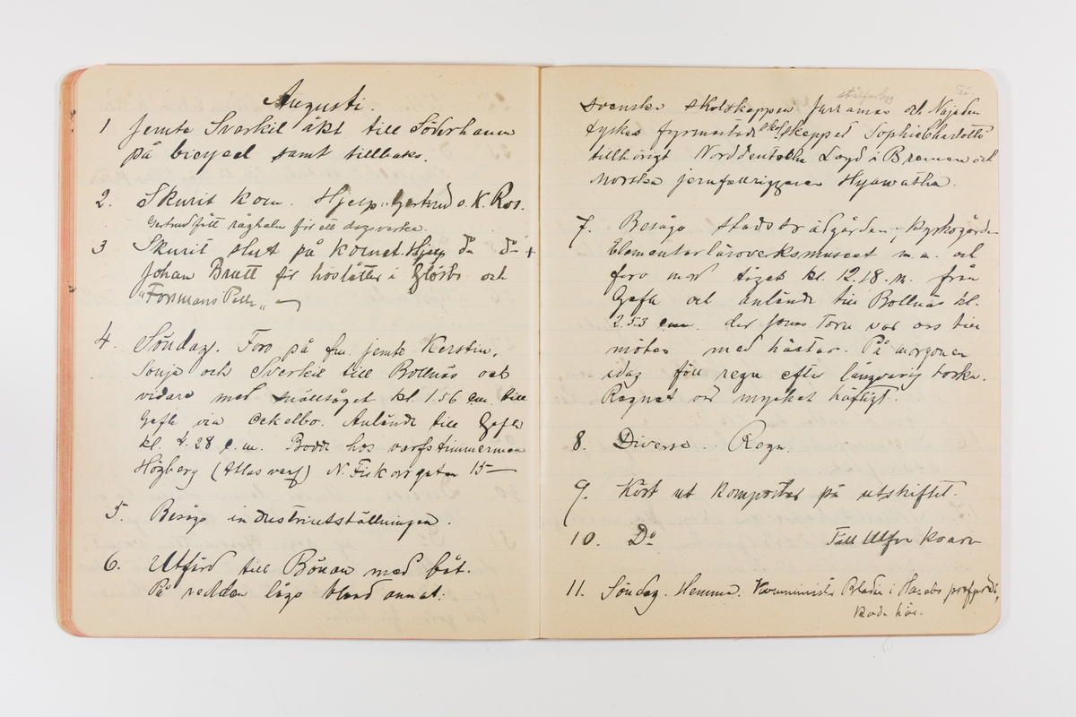 Dagbok från 1901 omfattande 71 skrivna sidor samt en skriven lapp. Inbunden med vaxdukspärm. Skriven av bonden, sjömannen och godtemplaren Per Svensson (1863–). Denne var gift med Kerstin Persdotter i Östergården (Österböle nr 2) i Rengsjö socken. Anteckningarna berör arbete, resor, väder osv. Dagboken ingår i en samling på 8 volymer och fanns vid digitaliseringstillfället i privat ägo inom släkten.