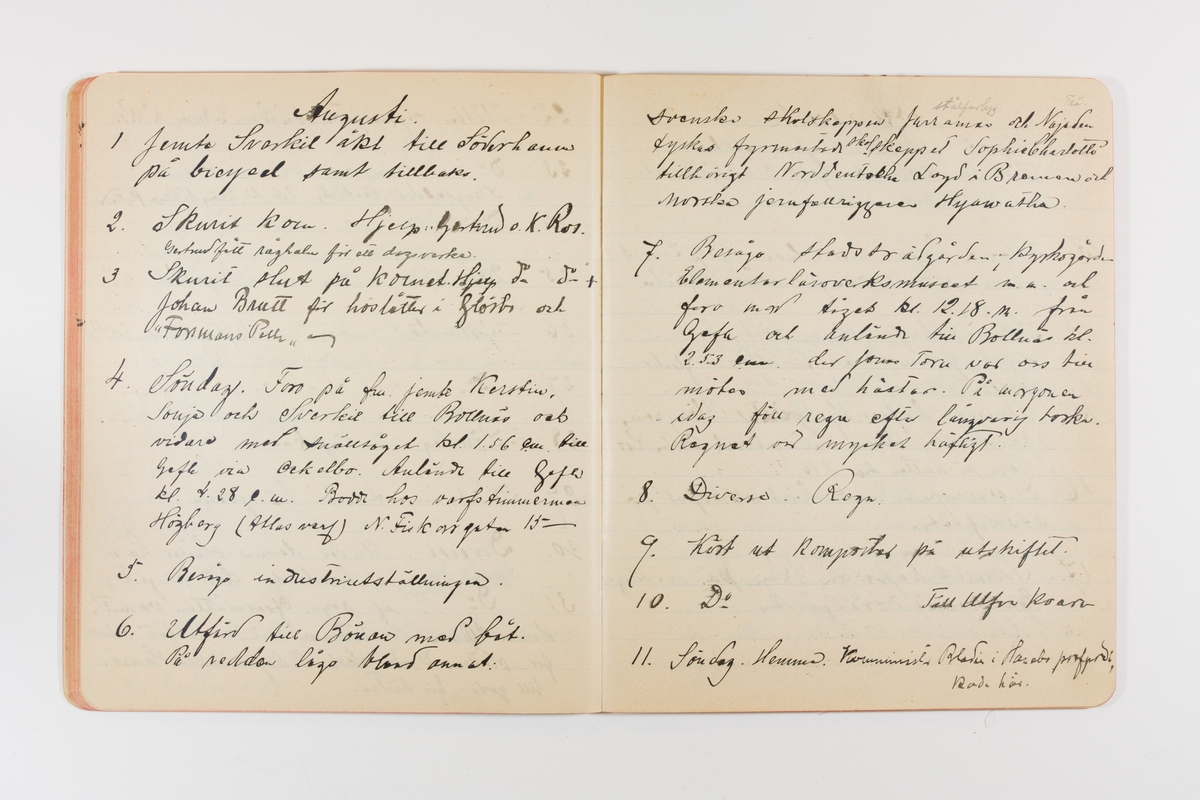 Dagbok från 1901 omfattande 71 skrivna sidor samt en skriven lapp. Inbunden med vaxdukspärm. Skriven av bonden, sjömannen och godtemplaren Per Svensson (1863-). Denne var gift med Kerstin Persdotter i Östergården (Österböle nr 2) i Rengsjö socken. Anteckningarna berör arbete, resor, väder osv.