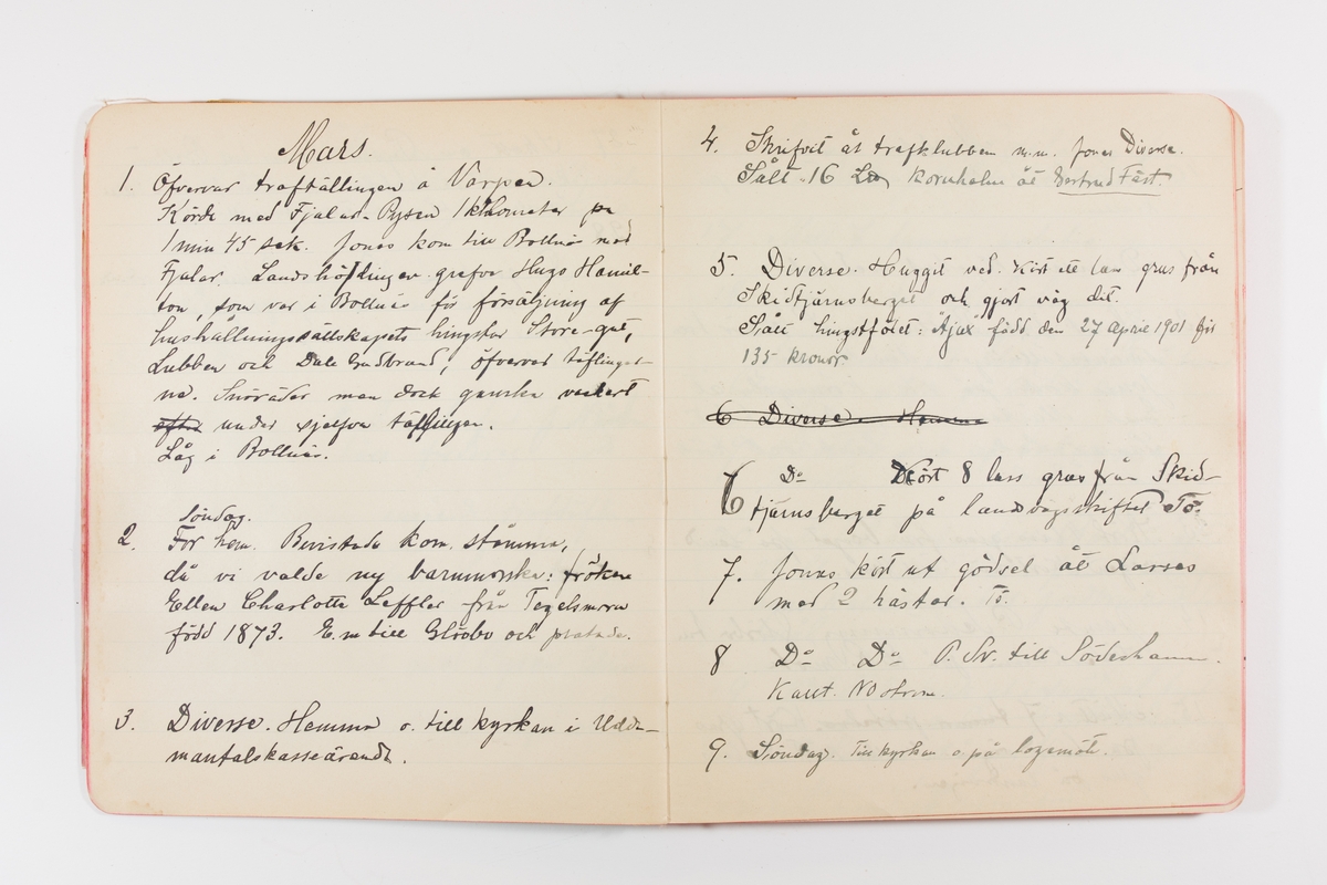 Dagbok från 1902–1903 omfattande 162 skrivna sidor samt en stämplingslängd. Inbunden med vaxdukspärm. Skriven av bonden, sjömannen och godtemplaren Per Svensson (1863–). Denne var gift med Kerstin Persdotter i Östergården (Österböle nr 2) i Rengsjö socken. Anteckningarna berör arbete, resor, väder osv. Dagboken ingår i en samling på 8 volymer och fanns vid digitaliseringstillfället i privat ägo inom släkten.