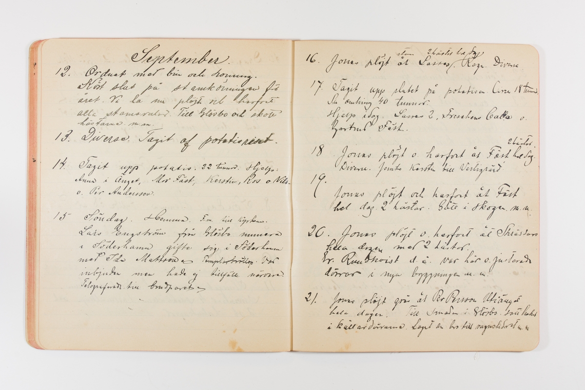 Dagbok från 1901 omfattande 71 skrivna sidor samt en skriven lapp. Inbunden med vaxdukspärm. Skriven av bonden, sjömannen och godtemplaren Per Svensson (1863–). Denne var gift med Kerstin Persdotter i Östergården (Österböle nr 2) i Rengsjö socken. Anteckningarna berör arbete, resor, väder osv. Dagboken ingår i en samling på 8 volymer och fanns vid digitaliseringstillfället i privat ägo inom släkten.