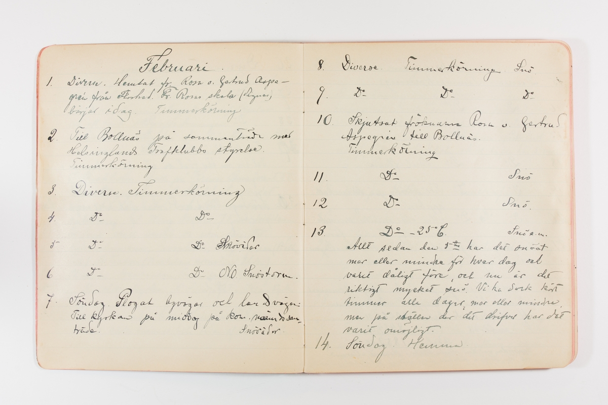 Dagbok från 1904–1905 omfattande 95 skrivna sidor. Inbunden med vaxdukspärm. Skriven av bonden, sjömannen och godtemplaren Per Svensson (1863–). Denne var gift med Kerstin Persdotter i Östergården (Österböle nr 2) i Rengsjö socken. Anteckningarna berör arbete, resor, väder osv. Dagboken ingår i en samling på 8 volymer och fanns vid digitaliseringstillfället i privat ägo inom släkten.