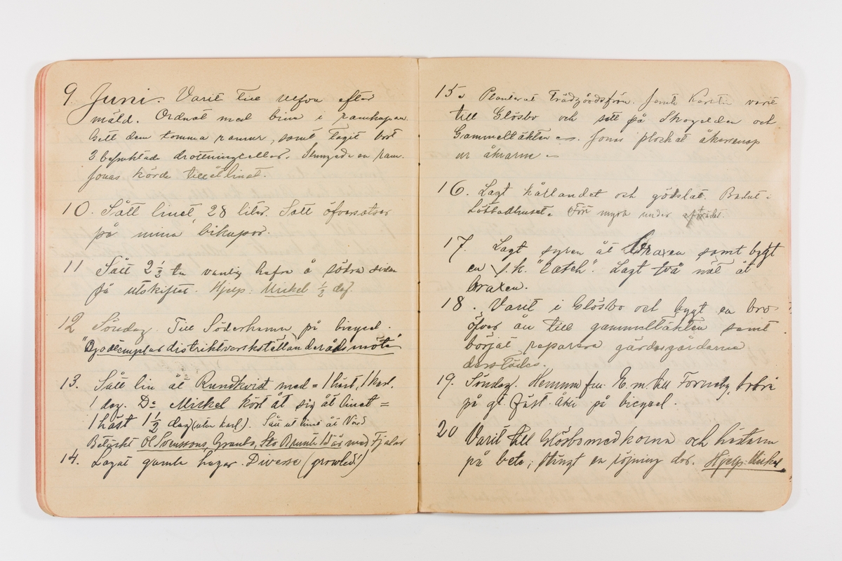 Dagbok från 1897-1898 omfattande 138 sidor. Inbunden med vaxdukspärm. Skriven av bonden, sjömannen och godtemplaren Per Svensson (1863-). Denne var gift med Kerstin Persdotter i Östergården (Österböle nr 2) i Rengsjö socken. Anteckningarna berör arbete, resor, väder osv.