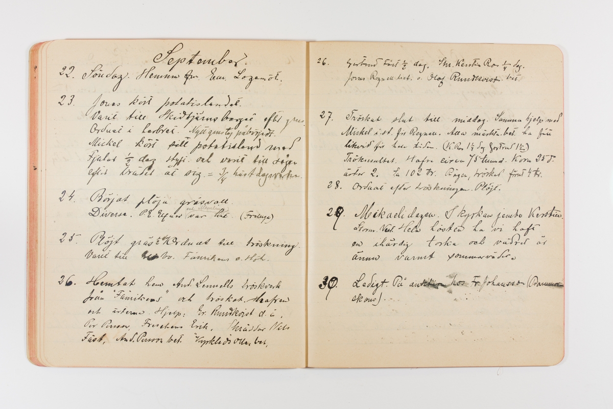 Dagbok från 1901 omfattande 71 skrivna sidor samt en skriven lapp. Inbunden med vaxdukspärm. Skriven av bonden, sjömannen och godtemplaren Per Svensson (1863–). Denne var gift med Kerstin Persdotter i Östergården (Österböle nr 2) i Rengsjö socken. Anteckningarna berör arbete, resor, väder osv. Dagboken ingår i en samling på 8 volymer och fanns vid digitaliseringstillfället i privat ägo inom släkten.