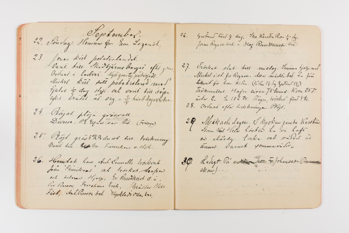 Dagbok från 1901 omfattande 71 skrivna sidor samt en skriven lapp. Inbunden med vaxdukspärm. Skriven av bonden, sjömannen och godtemplaren Per Svensson (1863-). Denne var gift med Kerstin Persdotter i Östergården (Österböle nr 2) i Rengsjö socken. Anteckningarna berör arbete, resor, väder osv.