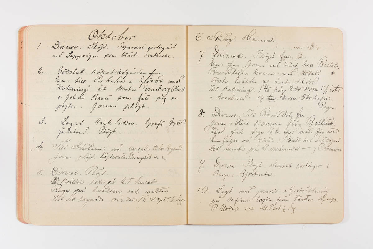 Dagbok från 1901 omfattande 71 skrivna sidor samt en skriven lapp. Inbunden med vaxdukspärm. Skriven av bonden, sjömannen och godtemplaren Per Svensson (1863–). Denne var gift med Kerstin Persdotter i Östergården (Österböle nr 2) i Rengsjö socken. Anteckningarna berör arbete, resor, väder osv. Dagboken ingår i en samling på 8 volymer och fanns vid digitaliseringstillfället i privat ägo inom släkten.
