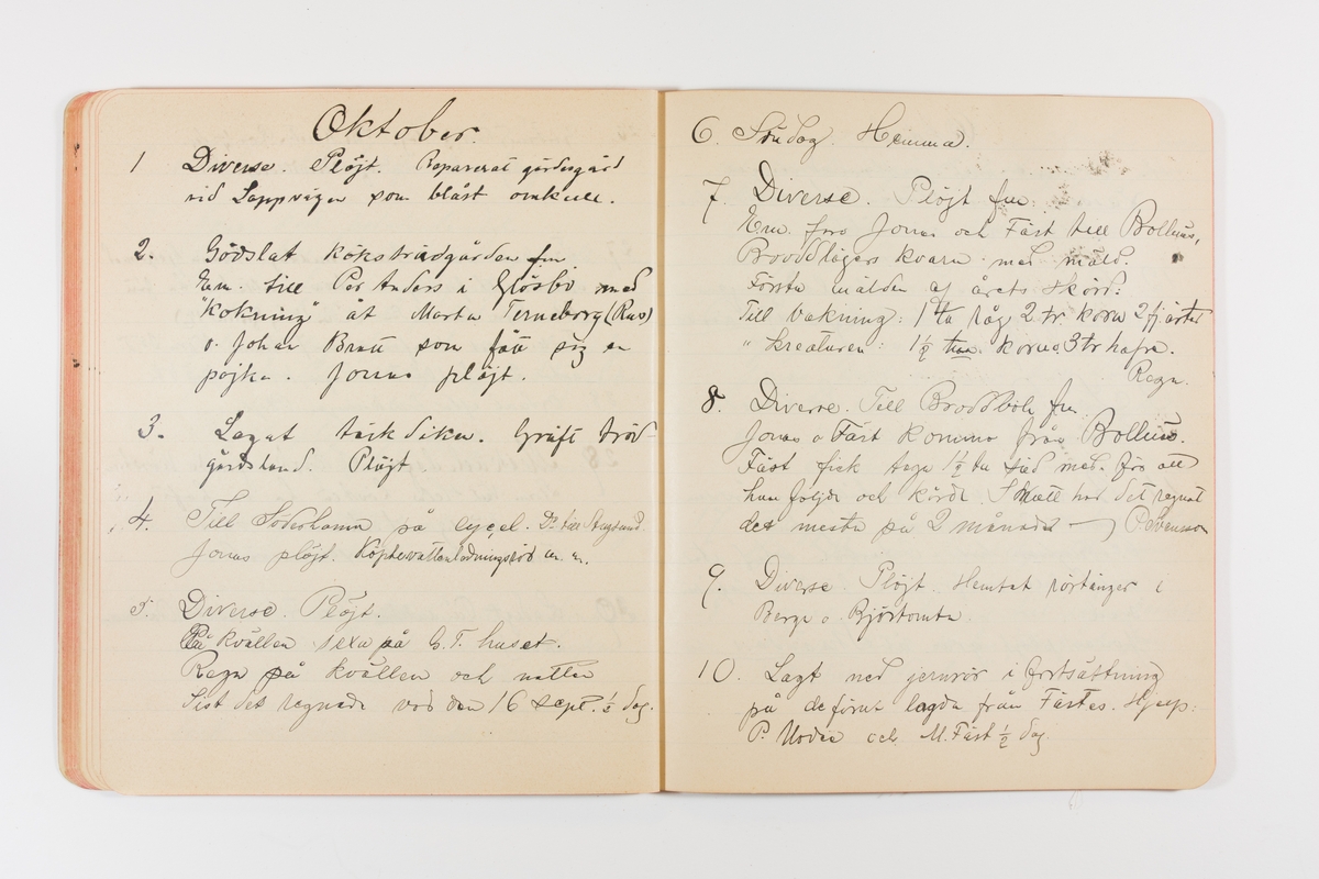 Dagbok från 1901 omfattande 71 skrivna sidor samt en skriven lapp. Inbunden med vaxdukspärm. Skriven av bonden, sjömannen och godtemplaren Per Svensson (1863-). Denne var gift med Kerstin Persdotter i Östergården (Österböle nr 2) i Rengsjö socken. Anteckningarna berör arbete, resor, väder osv.