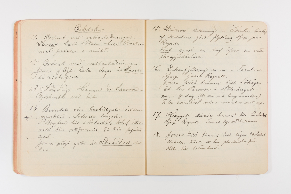 Dagbok från 1901 omfattande 71 skrivna sidor samt en skriven lapp. Inbunden med vaxdukspärm. Skriven av bonden, sjömannen och godtemplaren Per Svensson (1863–). Denne var gift med Kerstin Persdotter i Östergården (Österböle nr 2) i Rengsjö socken. Anteckningarna berör arbete, resor, väder osv. Dagboken ingår i en samling på 8 volymer och fanns vid digitaliseringstillfället i privat ägo inom släkten.