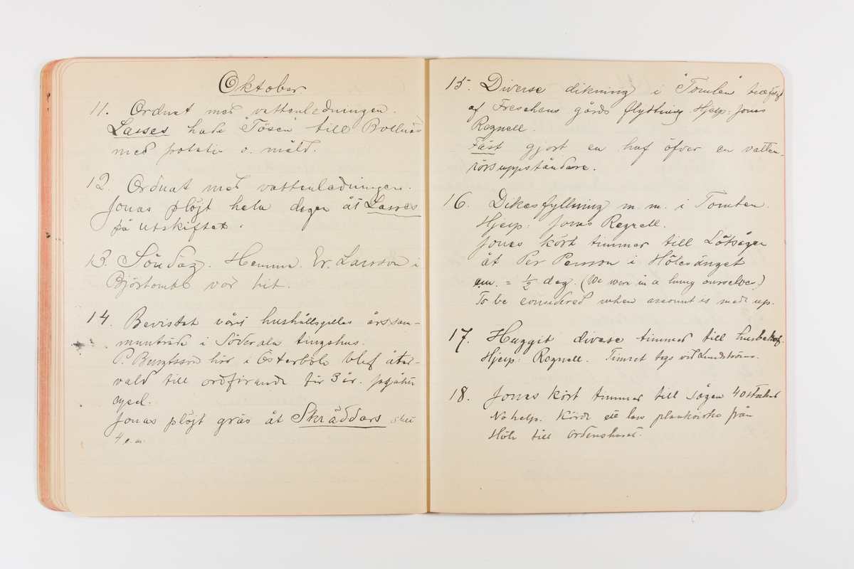 Dagbok från 1901 omfattande 71 skrivna sidor samt en skriven lapp. Inbunden med vaxdukspärm. Skriven av bonden, sjömannen och godtemplaren Per Svensson (1863-). Denne var gift med Kerstin Persdotter i Östergården (Österböle nr 2) i Rengsjö socken. Anteckningarna berör arbete, resor, väder osv.