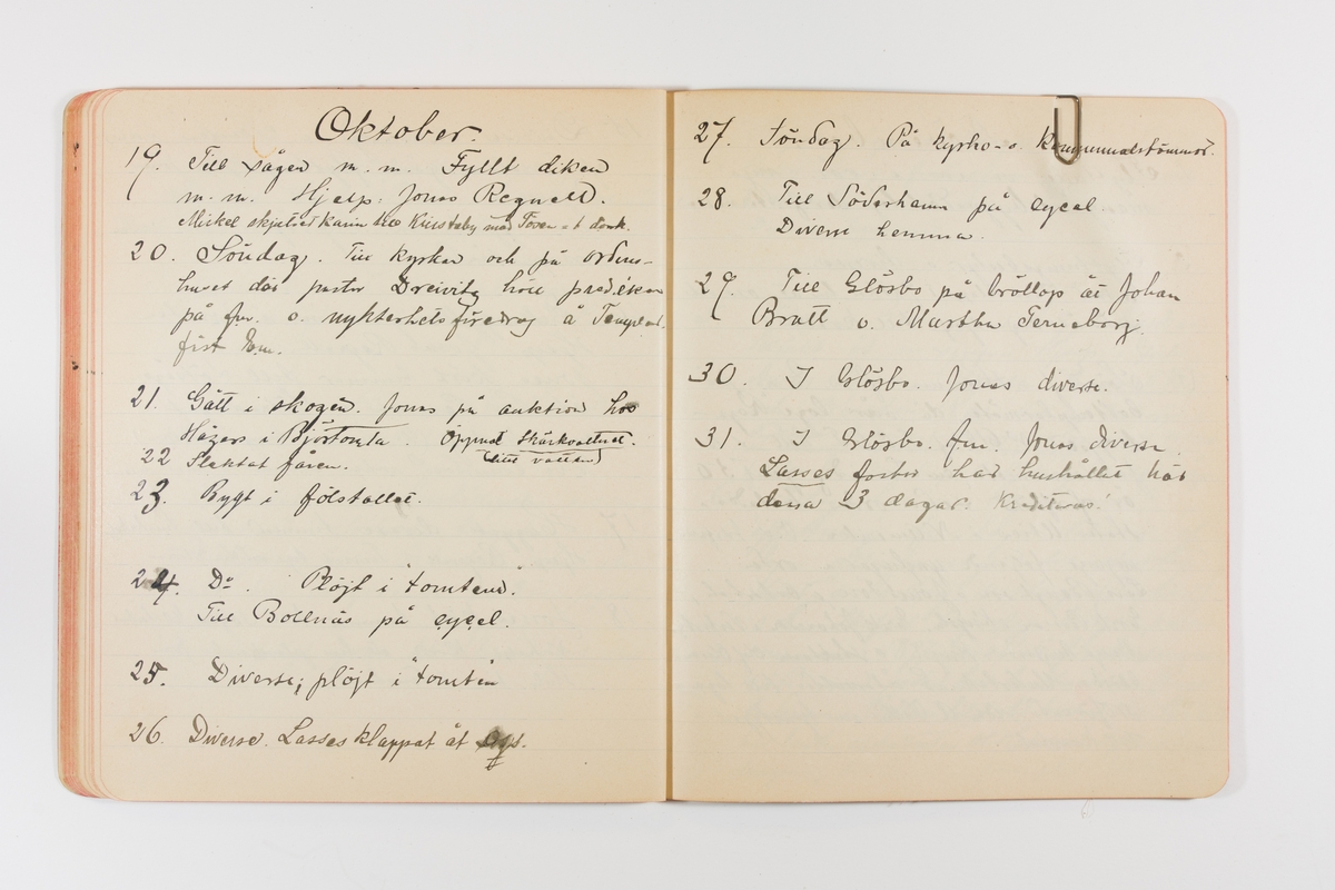 Dagbok från 1901 omfattande 71 skrivna sidor samt en skriven lapp. Inbunden med vaxdukspärm. Skriven av bonden, sjömannen och godtemplaren Per Svensson (1863-). Denne var gift med Kerstin Persdotter i Östergården (Österböle nr 2) i Rengsjö socken. Anteckningarna berör arbete, resor, väder osv.