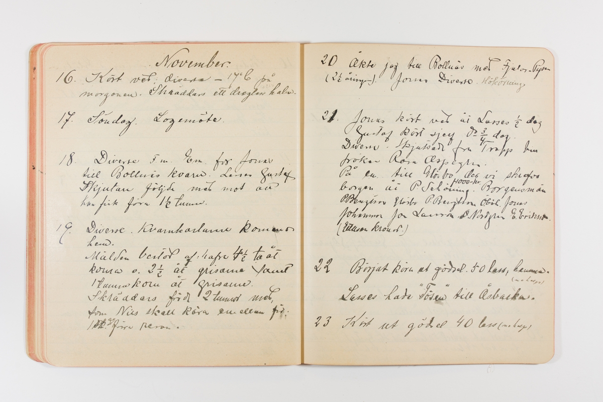 Dagbok från 1901 omfattande 71 skrivna sidor samt en skriven lapp. Inbunden med vaxdukspärm. Skriven av bonden, sjömannen och godtemplaren Per Svensson (1863-). Denne var gift med Kerstin Persdotter i Östergården (Österböle nr 2) i Rengsjö socken. Anteckningarna berör arbete, resor, väder osv.