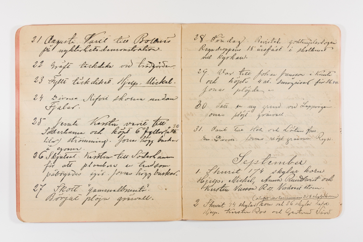 Dagbok från 1897-1898 omfattande 138 sidor. Inbunden med vaxdukspärm. Skriven av bonden, sjömannen och godtemplaren Per Svensson (1863-). Denne var gift med Kerstin Persdotter i Östergården (Österböle nr 2) i Rengsjö socken. Anteckningarna berör arbete, resor, väder osv.