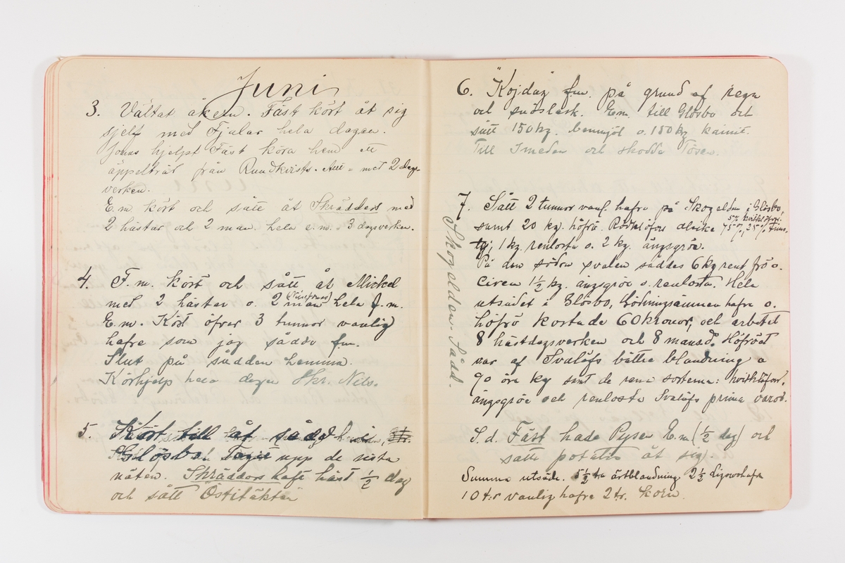 Dagbok från 1902–1903 omfattande 162 skrivna sidor samt en stämplingslängd. Inbunden med vaxdukspärm. Skriven av bonden, sjömannen och godtemplaren Per Svensson (1863–). Denne var gift med Kerstin Persdotter i Östergården (Österböle nr 2) i Rengsjö socken. Anteckningarna berör arbete, resor, väder osv. Dagboken ingår i en samling på 8 volymer och fanns vid digitaliseringstillfället i privat ägo inom släkten.