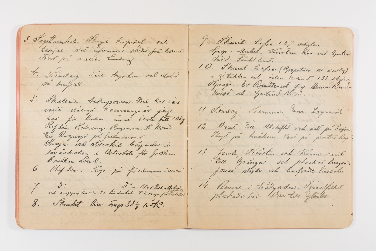 Dagbok från 1897-1898 omfattande 138 sidor. Inbunden med vaxdukspärm. Skriven av bonden, sjömannen och godtemplaren Per Svensson (1863-). Denne var gift med Kerstin Persdotter i Östergården (Österböle nr 2) i Rengsjö socken. Anteckningarna berör arbete, resor, väder osv.