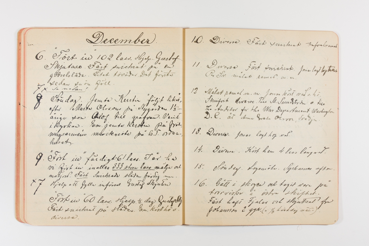 Dagbok från 1901 omfattande 71 skrivna sidor samt en skriven lapp. Inbunden med vaxdukspärm. Skriven av bonden, sjömannen och godtemplaren Per Svensson (1863-). Denne var gift med Kerstin Persdotter i Östergården (Österböle nr 2) i Rengsjö socken. Anteckningarna berör arbete, resor, väder osv.