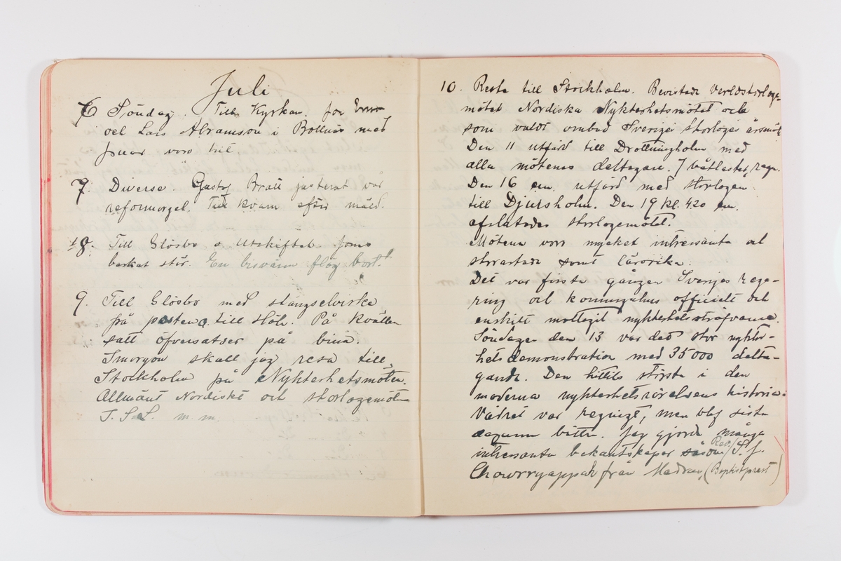 Dagbok från 1902–1903 omfattande 162 skrivna sidor samt en stämplingslängd. Inbunden med vaxdukspärm. Skriven av bonden, sjömannen och godtemplaren Per Svensson (1863–). Denne var gift med Kerstin Persdotter i Östergården (Österböle nr 2) i Rengsjö socken. Anteckningarna berör arbete, resor, väder osv. Dagboken ingår i en samling på 8 volymer och fanns vid digitaliseringstillfället i privat ägo inom släkten.