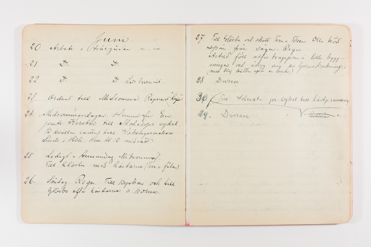 Dagbok från 1904–1905 omfattande 95 skrivna sidor. Inbunden med vaxdukspärm. Skriven av bonden, sjömannen och godtemplaren Per Svensson (1863–). Denne var gift med Kerstin Persdotter i Östergården (Österböle nr 2) i Rengsjö socken. Anteckningarna berör arbete, resor, väder osv. Dagboken ingår i en samling på 8 volymer och fanns vid digitaliseringstillfället i privat ägo inom släkten.
