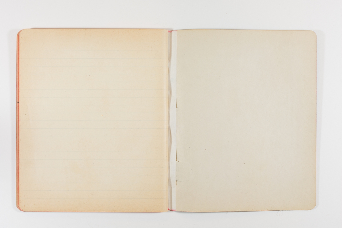 Dagbok från 1901 omfattande 71 skrivna sidor samt en skriven lapp. Inbunden med vaxdukspärm. Skriven av bonden, sjömannen och godtemplaren Per Svensson (1863–). Denne var gift med Kerstin Persdotter i Östergården (Österböle nr 2) i Rengsjö socken. Anteckningarna berör arbete, resor, väder osv. Dagboken ingår i en samling på 8 volymer och fanns vid digitaliseringstillfället i privat ägo inom släkten.
